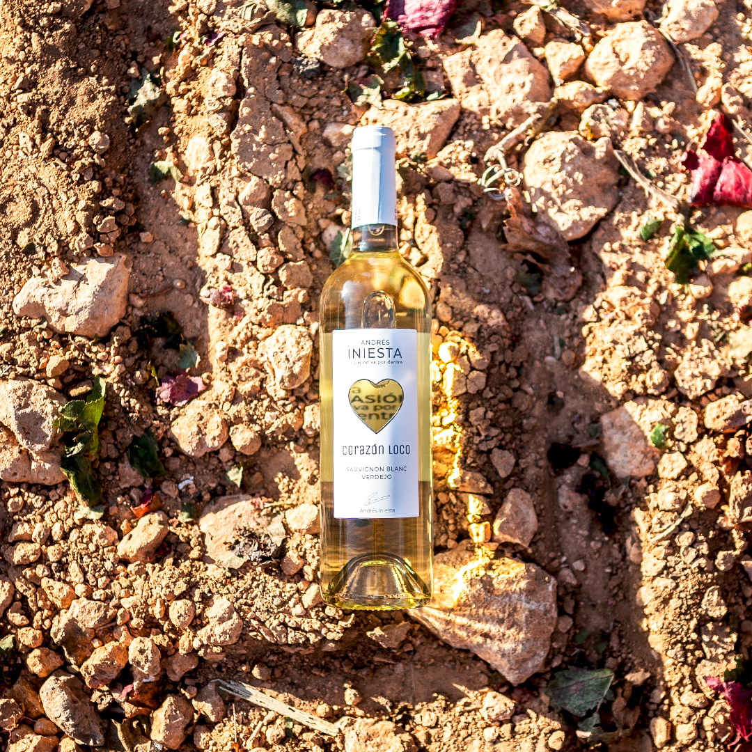 02_BI_CL_Blanco_2024_Bodegon_2