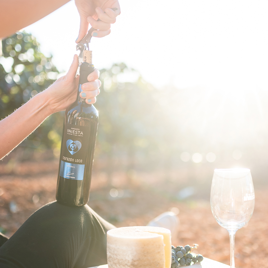 06_BI_CL_Bobal_2024_Bodegon_1