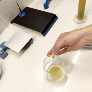 Medición de Ph demosto de Chardonnay