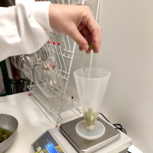 bayas de Charddonnay en el laboratorio