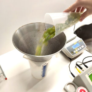 Uvas de Chardonnay antes de pasarlas para el muestreo